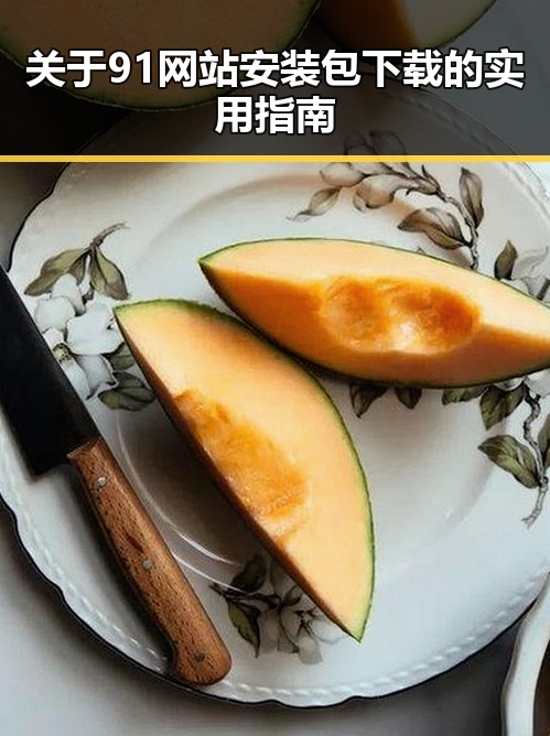 关于91网站安装包下载的实用指南