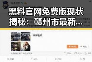 黑料 官网免费版现状揭秘：赣州市最新动态解析