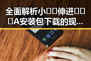 全面解析小🐔🐔伸进🈲🔞🔞A安装包下载的现状与注意事项