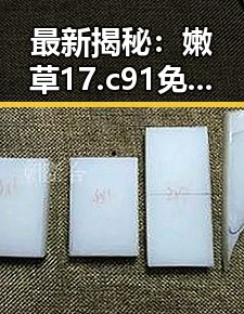 最新揭秘：嫩草17.c 91免费版官方版的现状与应用