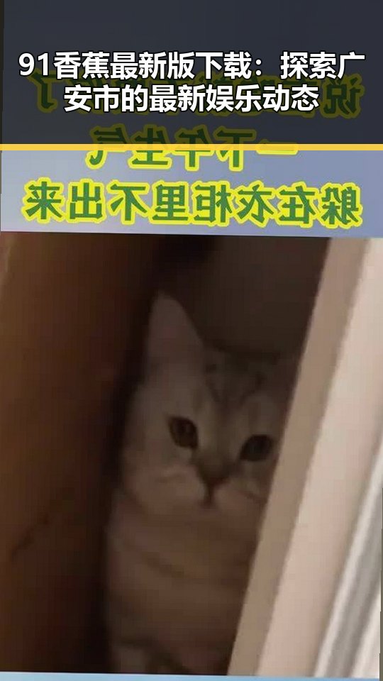 91香蕉最新版下载：探索广安市的最新娱乐动态