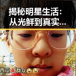 揭秘明星生活：从光鲜到真实的背后——关于“撸撸射官方版”的讨论