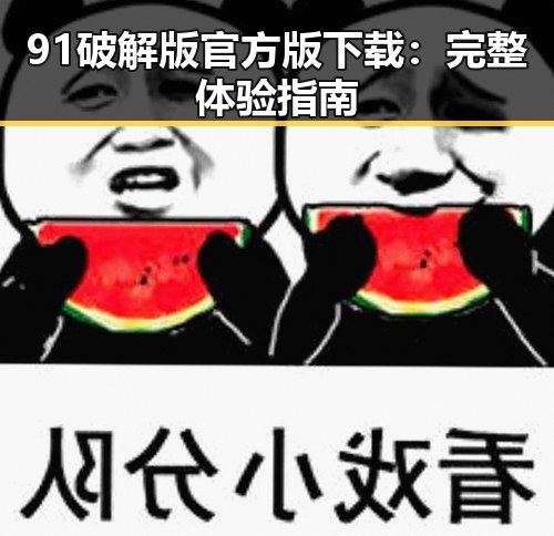 91破解版官方版下载：完整体验指南