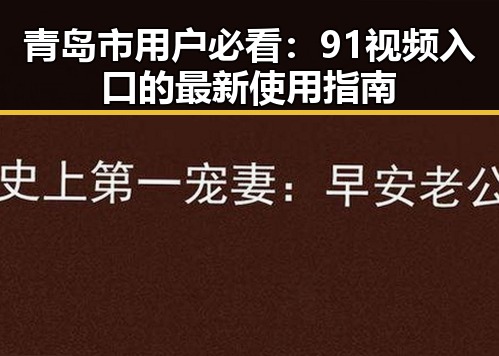青岛市用户必看：91视频入口的最新使用指南