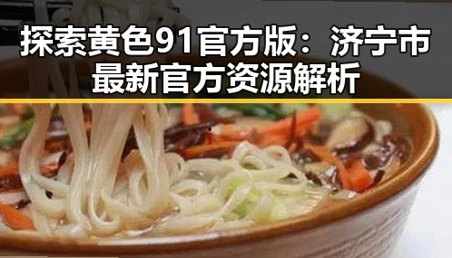 探索黄色91官方版：济宁市最新官方资源解析