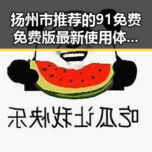 扬州市推荐的91免费免费版最新使用体验解析