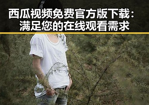 西瓜视频免费官方版下载：满足您的在线观看需求