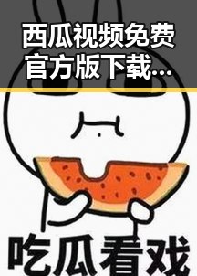 西瓜视频免费官方版下载：满足您的在线观看需求