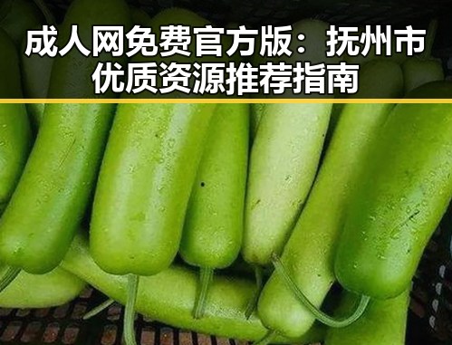 成人网免费官方版：抚州市优质资源推荐指南