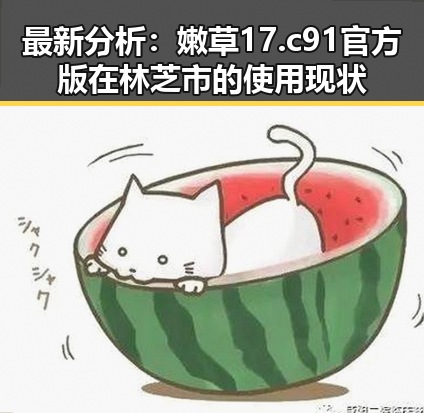 最新分析：嫩草17.c 91官方版在林芝市的使用现状