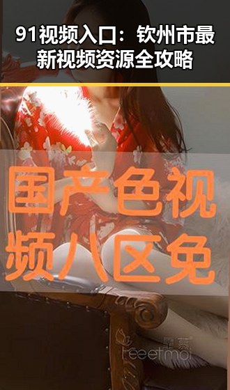 91视频入口：钦州市最新视频资源全攻略