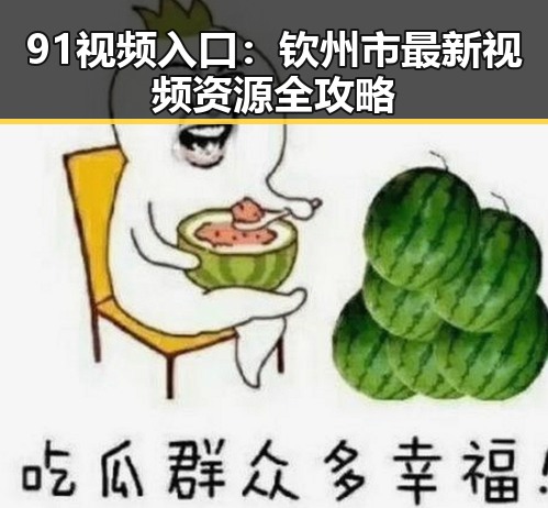91视频入口：钦州市最新视频资源全攻略