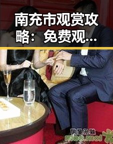 南充市观赏攻略:免费观看45分钟高清电视动漫官方版全新体验
