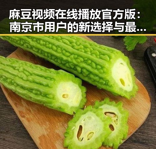 麻豆视频在线播放官方版：南京市用户的新选择与最新动态