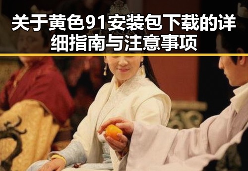 关于黄色91安装包下载的详细指南与注意事项