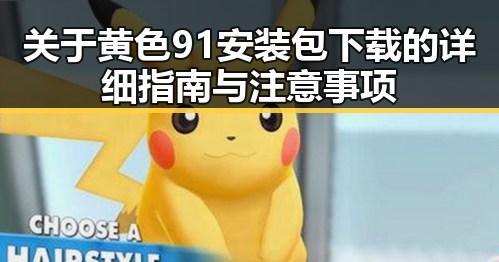关于黄色91安装包下载的详细指南与注意事项