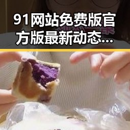 91网站免费版官方版最新动态揭秘