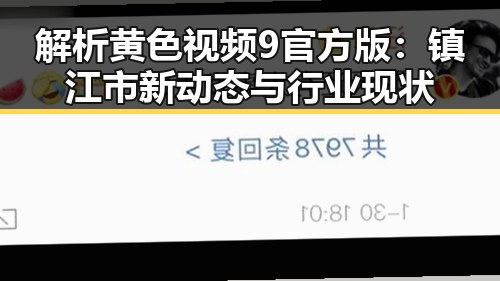 解析黄色视频9官方版：镇江市新动态与行业现状