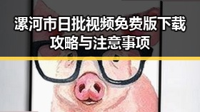 漯河市日批视频免费版下载攻略与注意事项