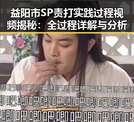 益阳市SP责打实践过程视频揭秘：全过程详解与分析
