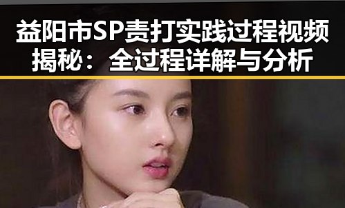 益阳市SP责打实践过程视频揭秘：全过程详解与分析
