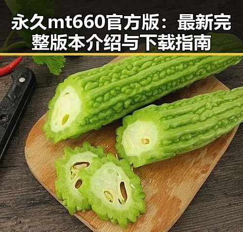 永久mt660官方版：最新完整版本介绍与下载指南