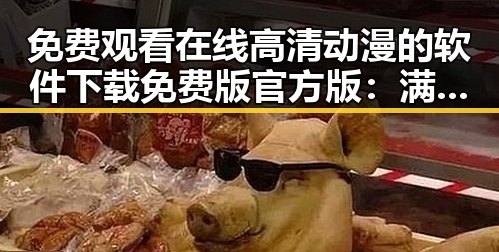 免费观看在线高清动漫的软件下载免费版官方版：满足你的追番需求