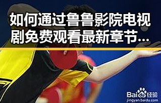 如何通过鲁鲁影院电视剧免费观看最新章节官方版下载获取优质内容