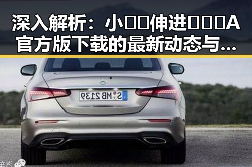深入解析：小🐔🐔伸进🈲🔞🔞A官方版下载的最新动态与背后故事