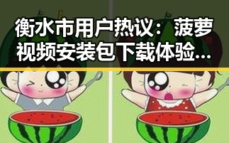 衡水市用户热议：菠萝视频安装包下载体验全揭秘