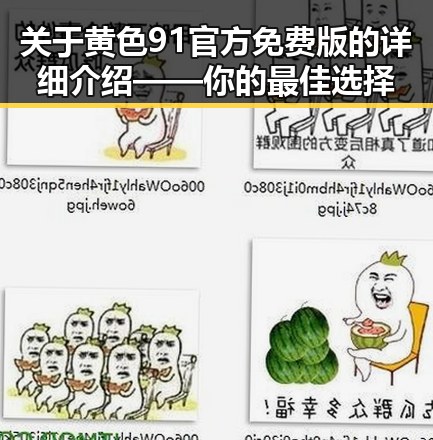 关于黄色91官方免费版的详细介绍——你的最佳选择