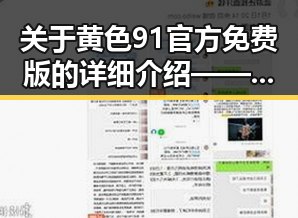 关于黄色91官方免费版的详细介绍——你的最佳选择