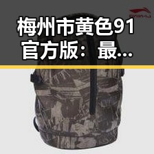 梅州市黄色91官方版：最新资讯与体验指南