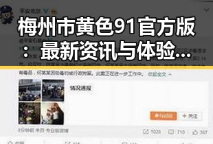 梅州市黄色91官方版：最新资讯与体验指南