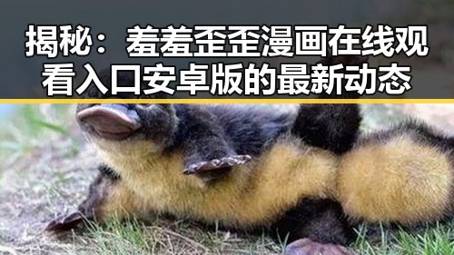 揭秘：羞羞歪歪漫画 在线观看入口安卓版的最新动态