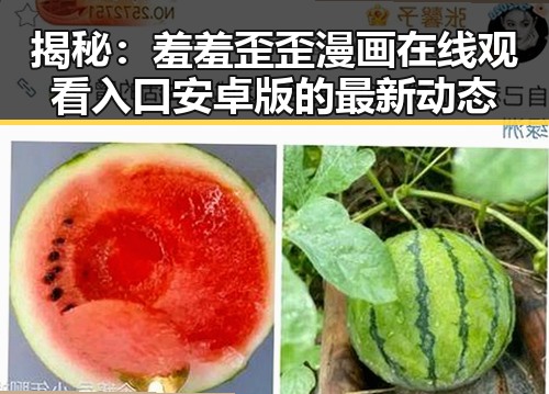 揭秘：羞羞歪歪漫画 在线观看入口安卓版的最新动态