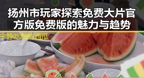扬州市玩家探索免费大片官方版免费版的魅力与趋势