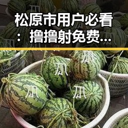 松原市用户必看：撸撸射免费版下载攻略详解
