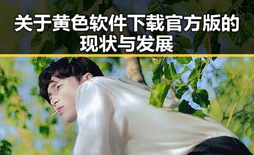 关于黄色软件下载官方版的现状与发展
