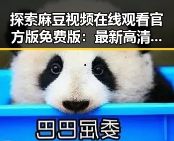 探索麻豆视频在线观看官方版免费版：最新高清体验指南