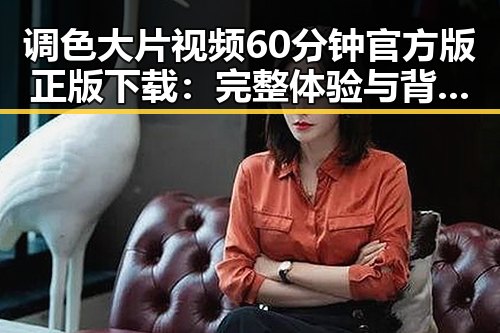 调色大片视频60分钟官方版正版下载：完整体验与背后解析