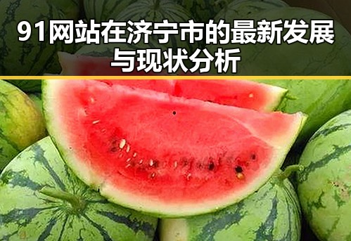 91网站在济宁市的最新发展与现状分析