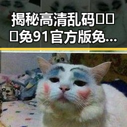 揭秘高清乱码🔞❌♋免91官方版免费版：轻松畅享无限内容的背后