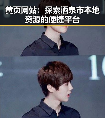 黄页网站：探索酒泉市本地资源的便捷平台