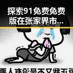 探索91免费免费版在张家界市的应用与现状