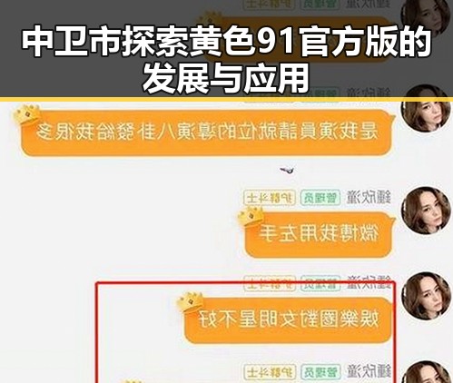 中卫市探索黄色91官方版的发展与应用