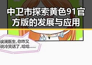 中卫市探索黄色91官方版的发展与应用