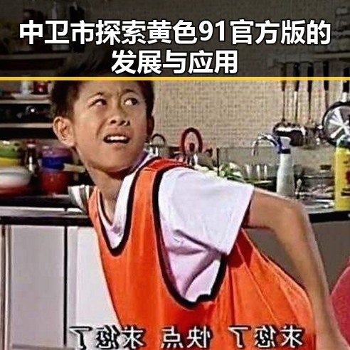 中卫市探索黄色91官方版的发展与应用