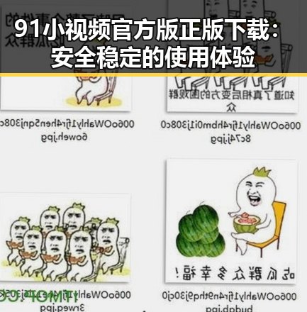 91小视频官方版正版下载：安全稳定的使用体验