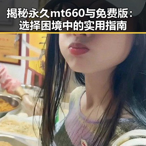 揭秘永久mt660与免费版：选择困境中的实用指南
